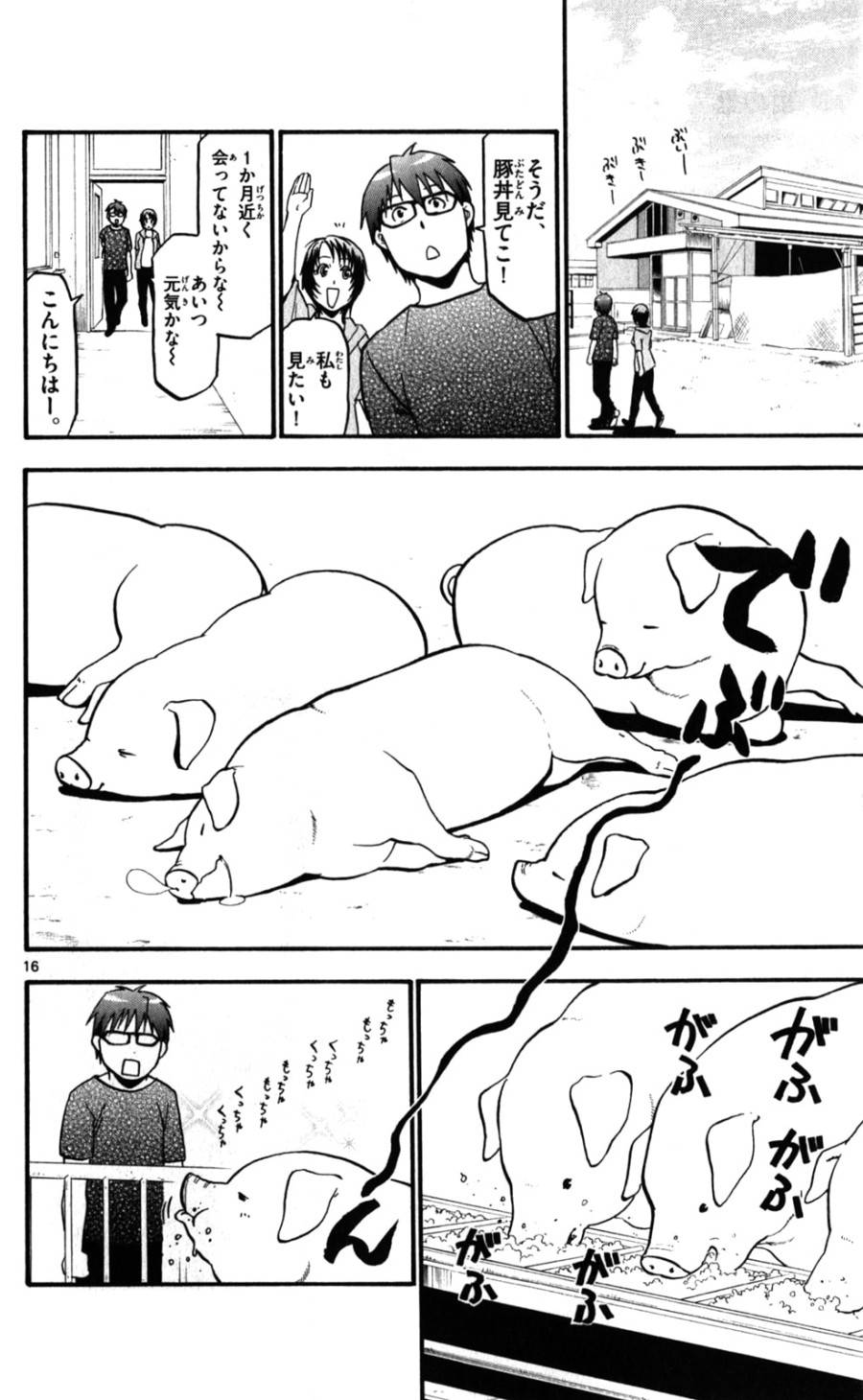 P16