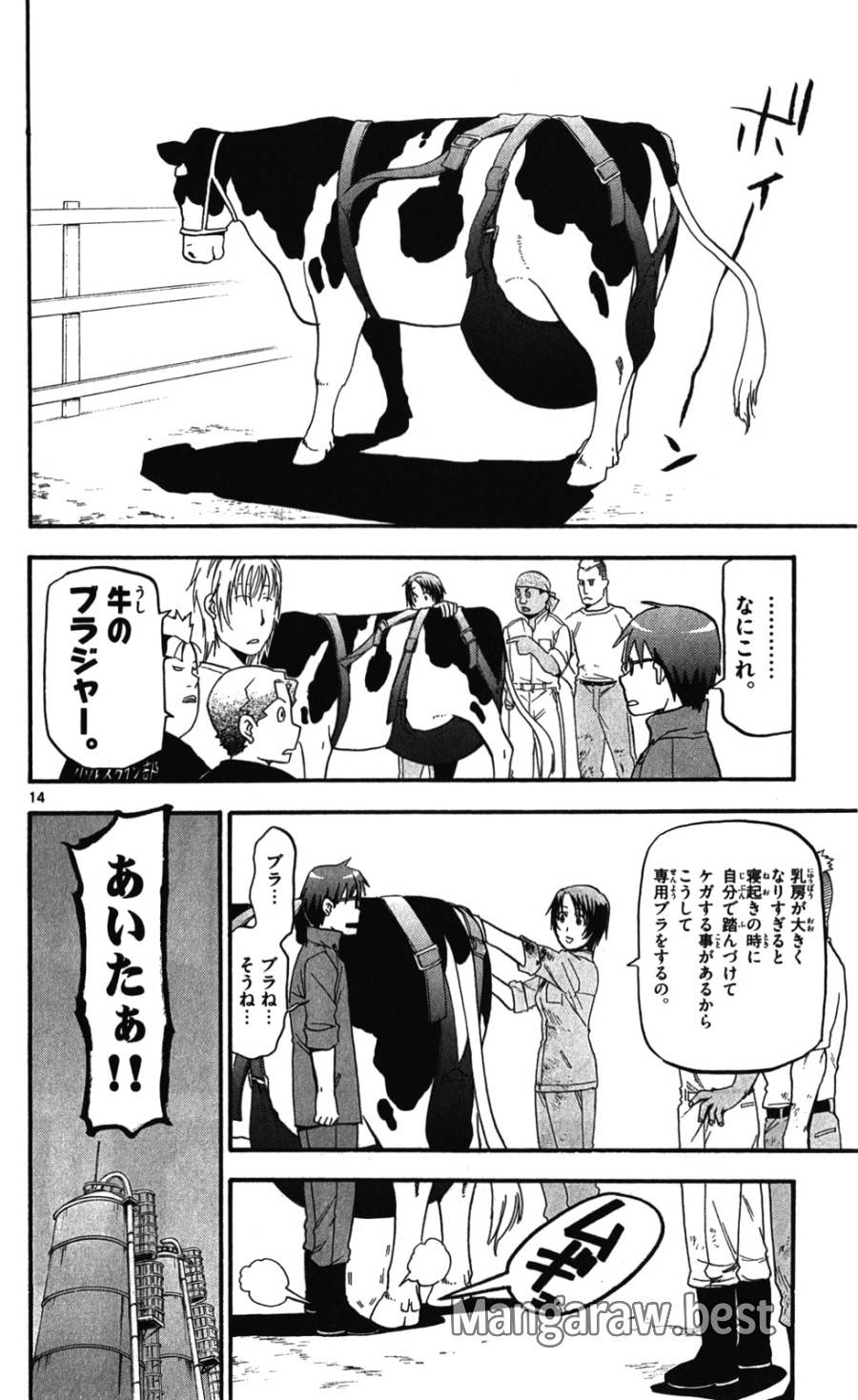P14