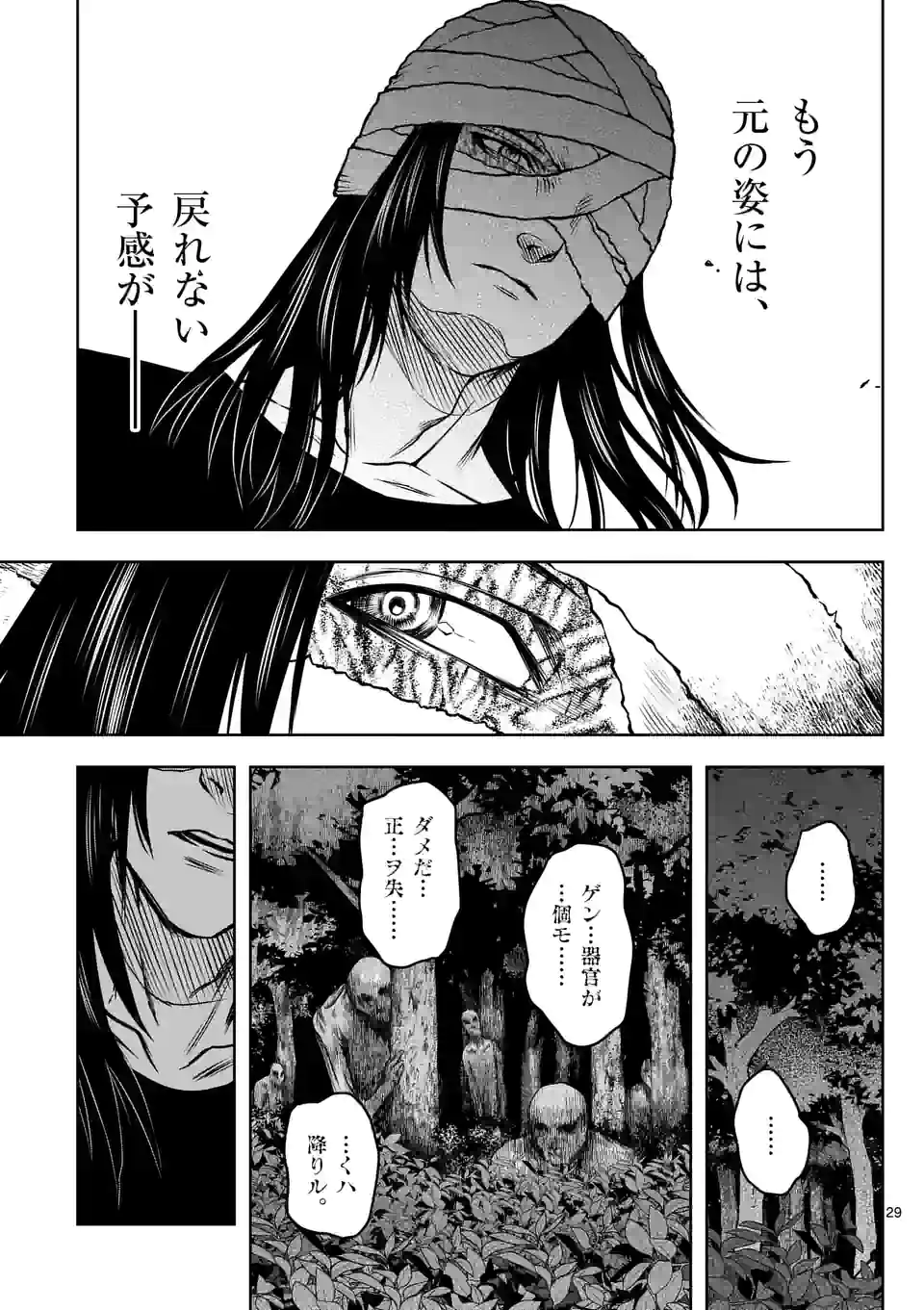 P29