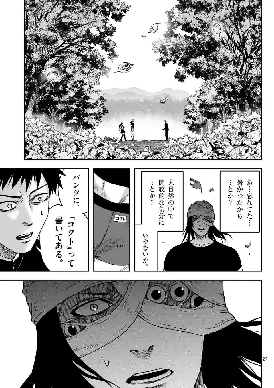 P27