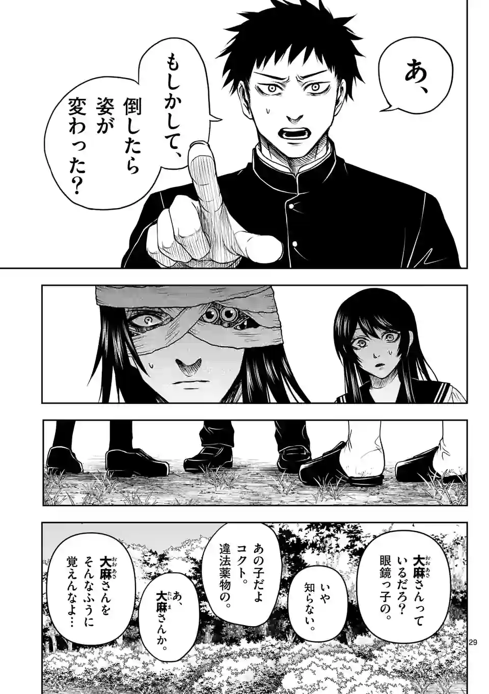 P29