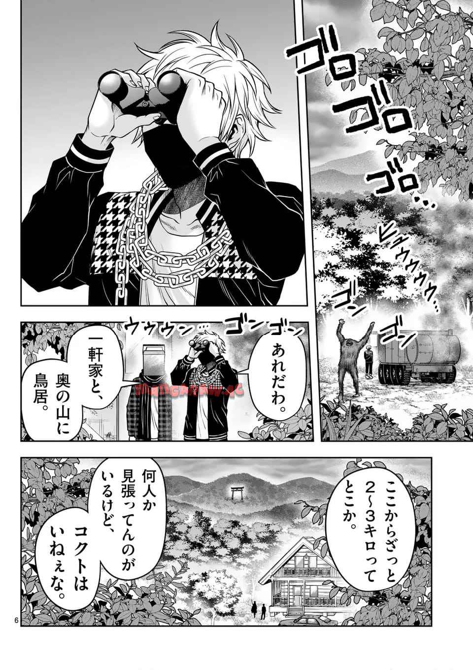 P6