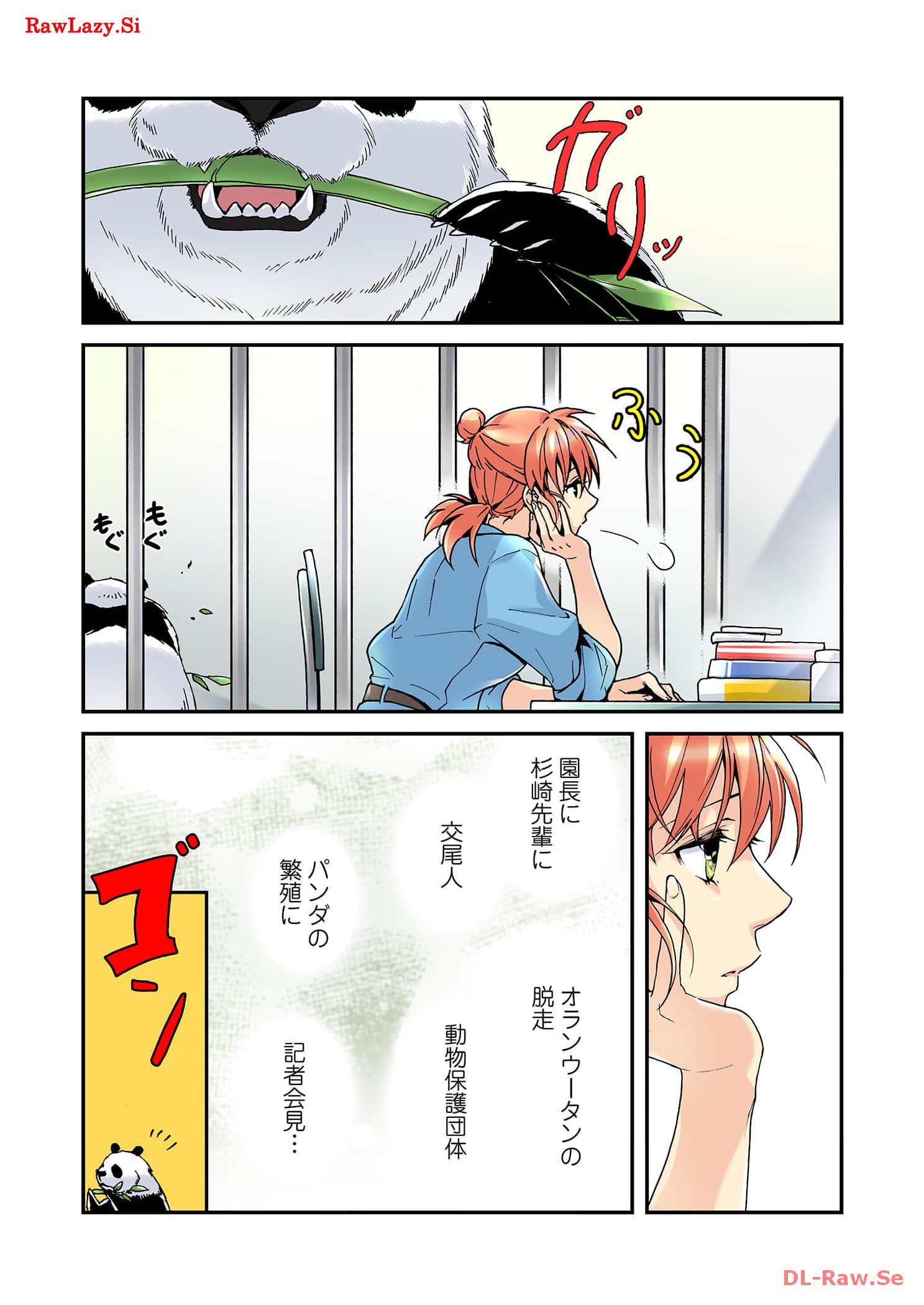 P31