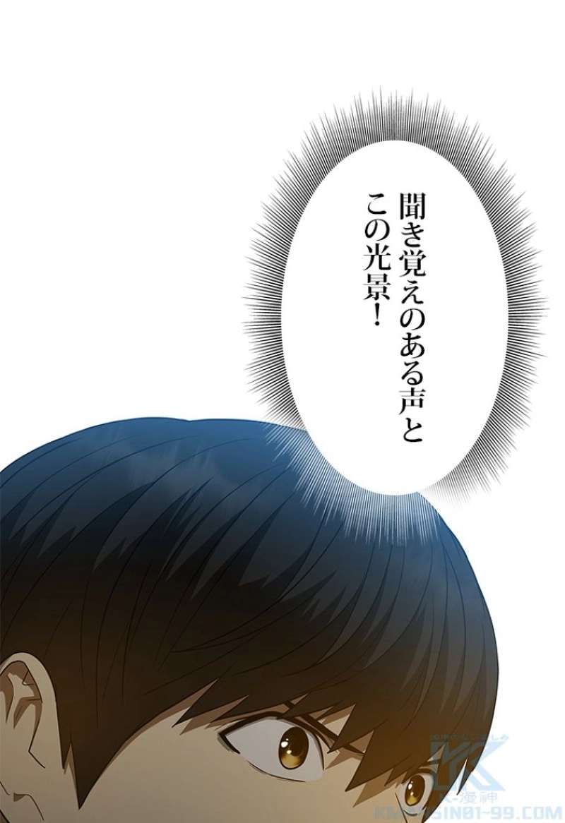 P53