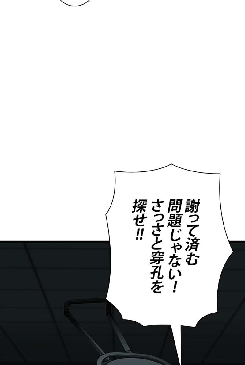 P66