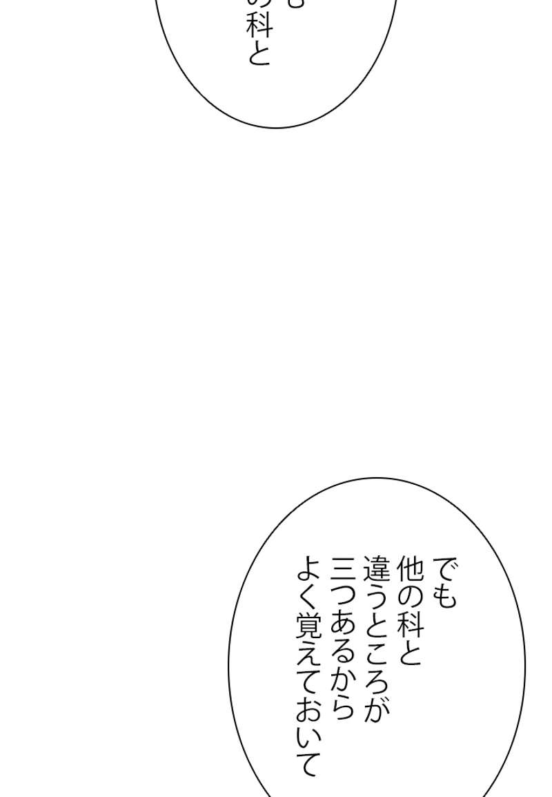 P40