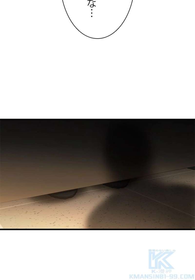 P113