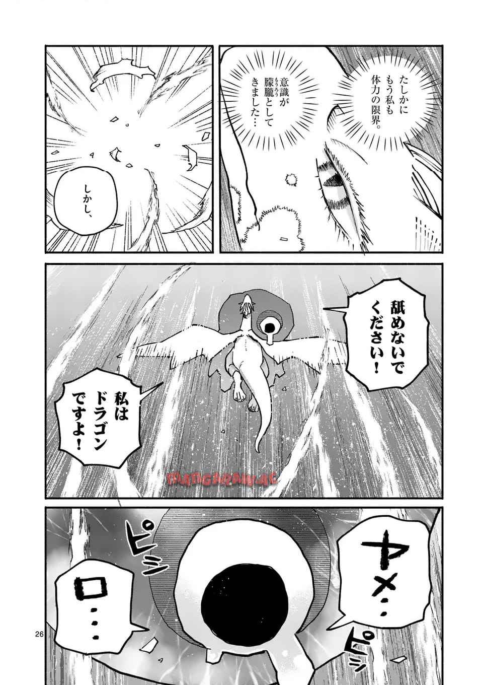 P26