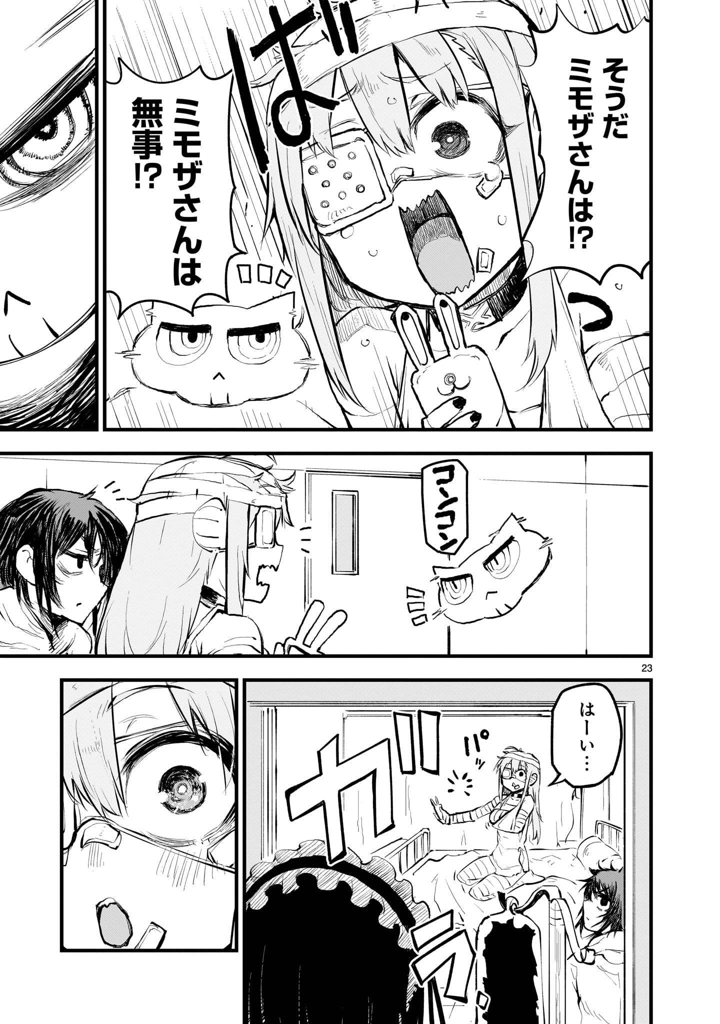 P23
