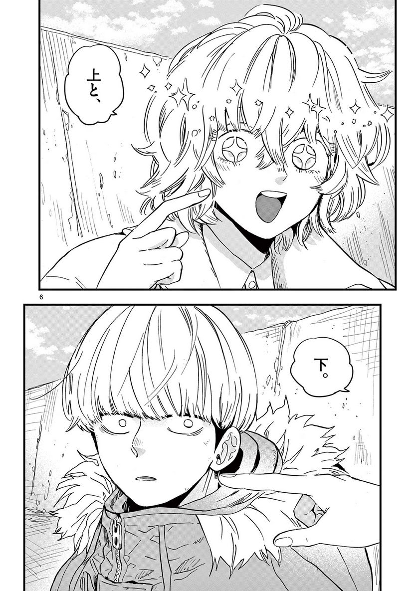P6
