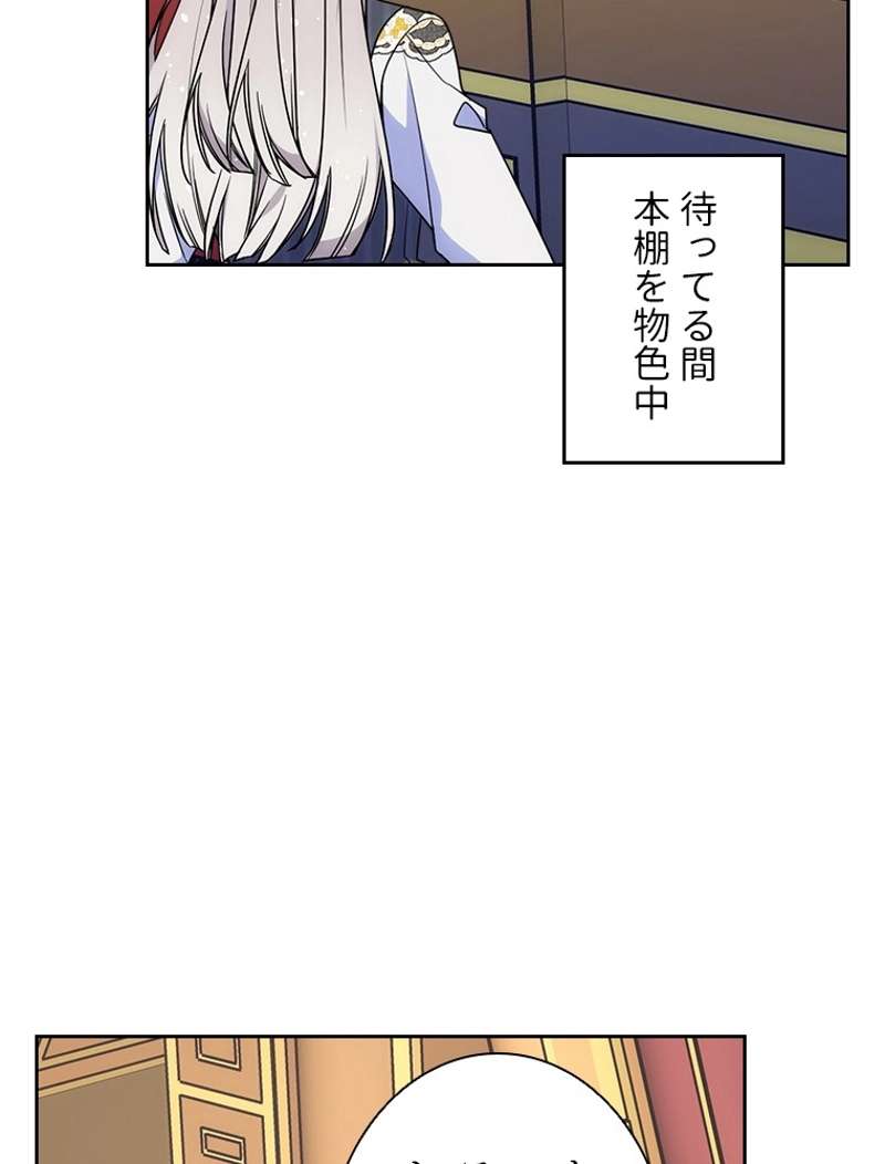 P66