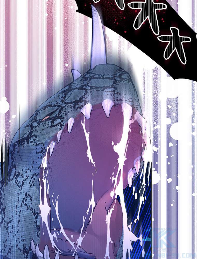 P66