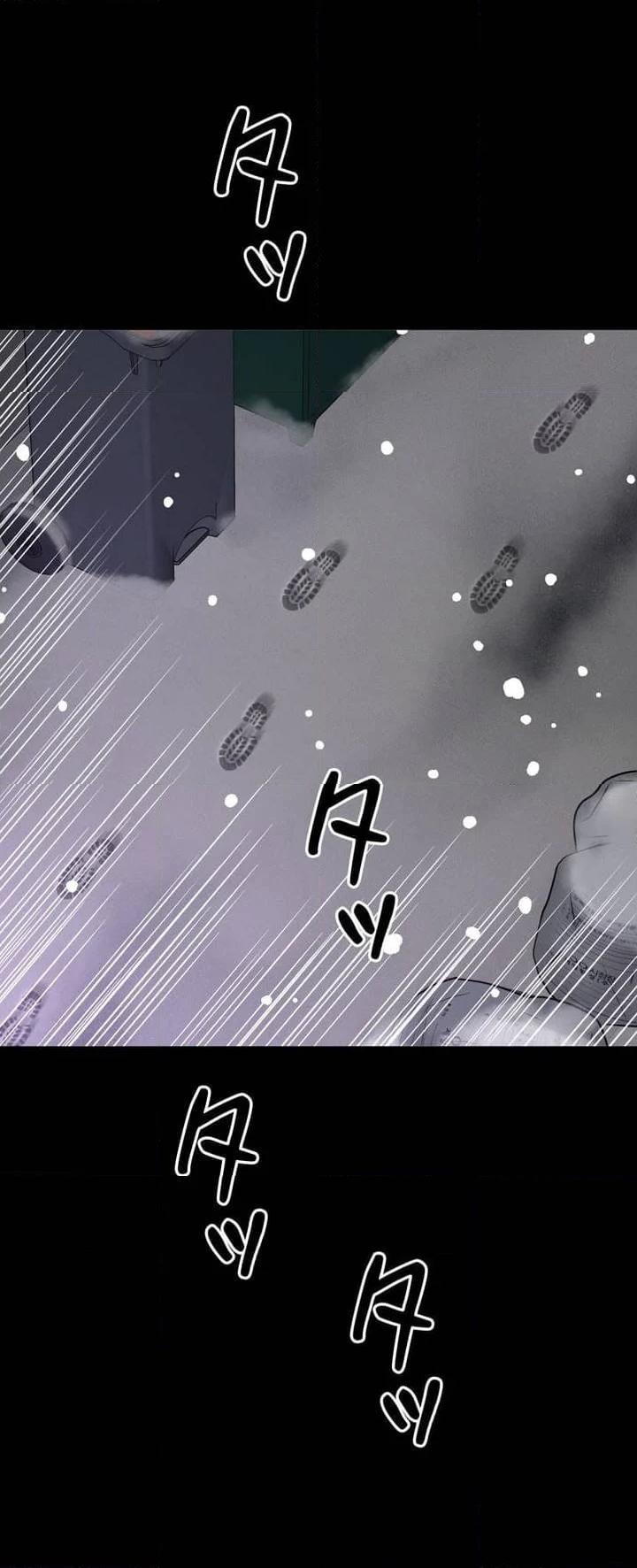 P63