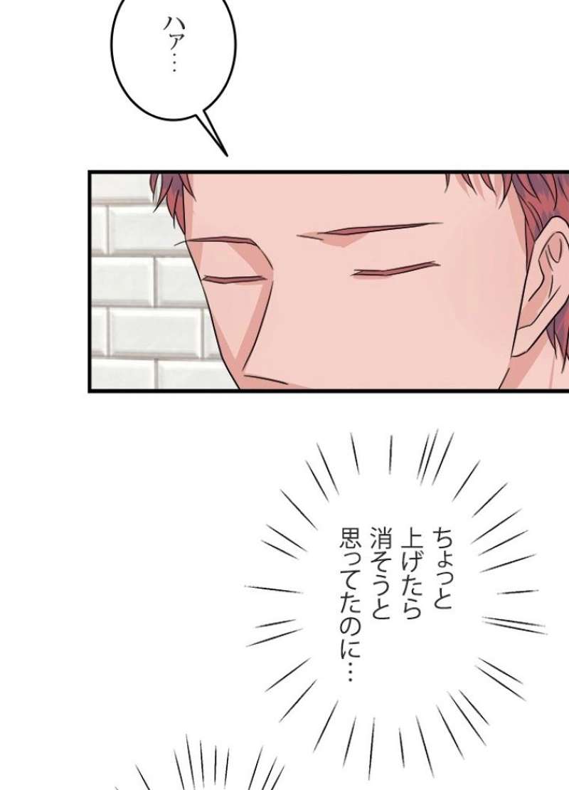 P66