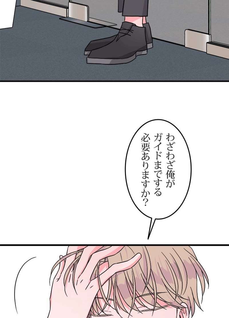 P63