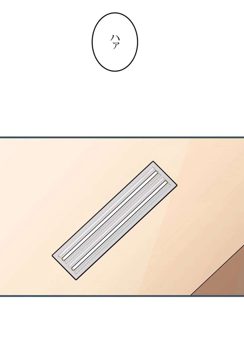 P54