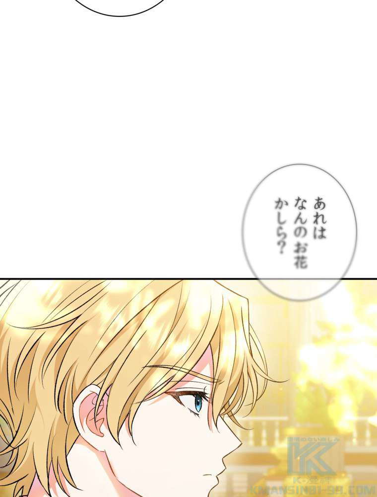P58