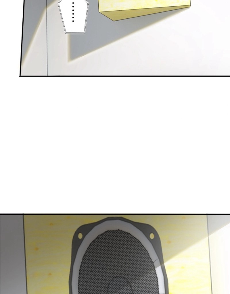 P41