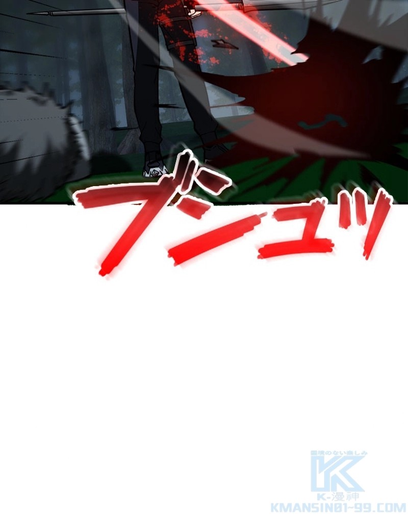 P58