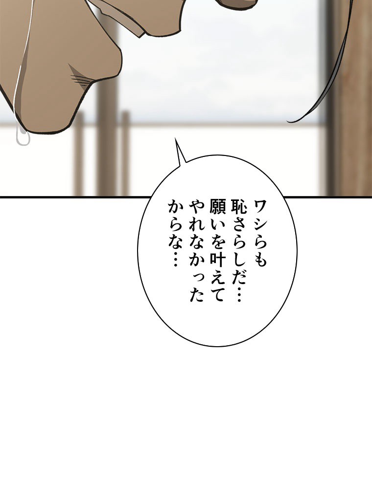 P66