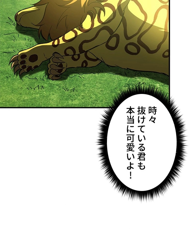 P63