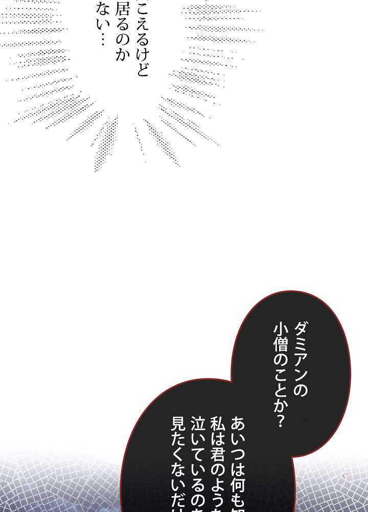 P66