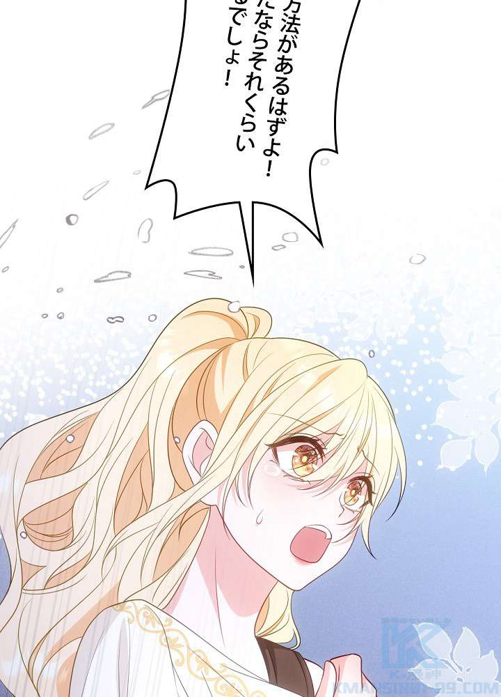 P58