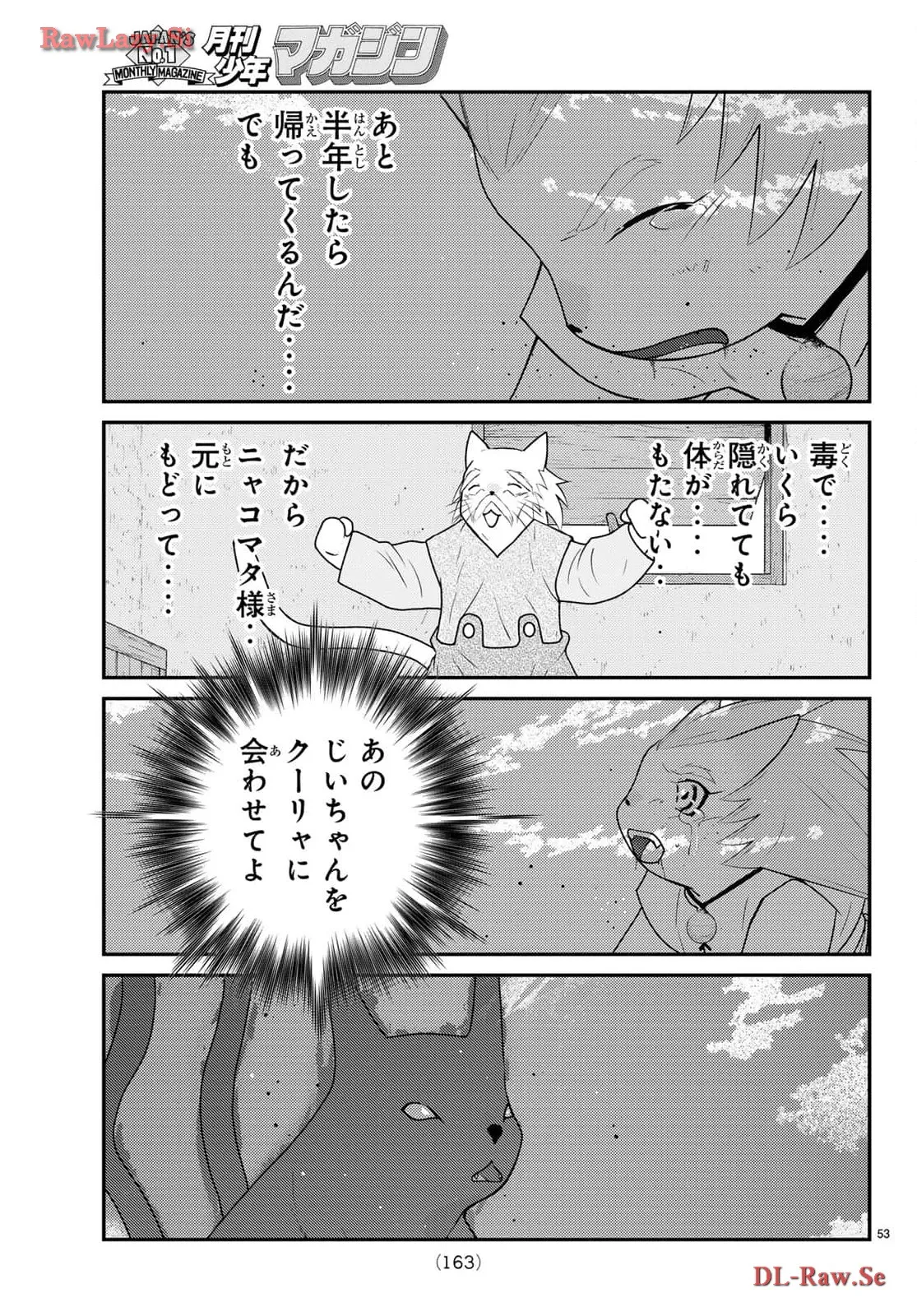 P53