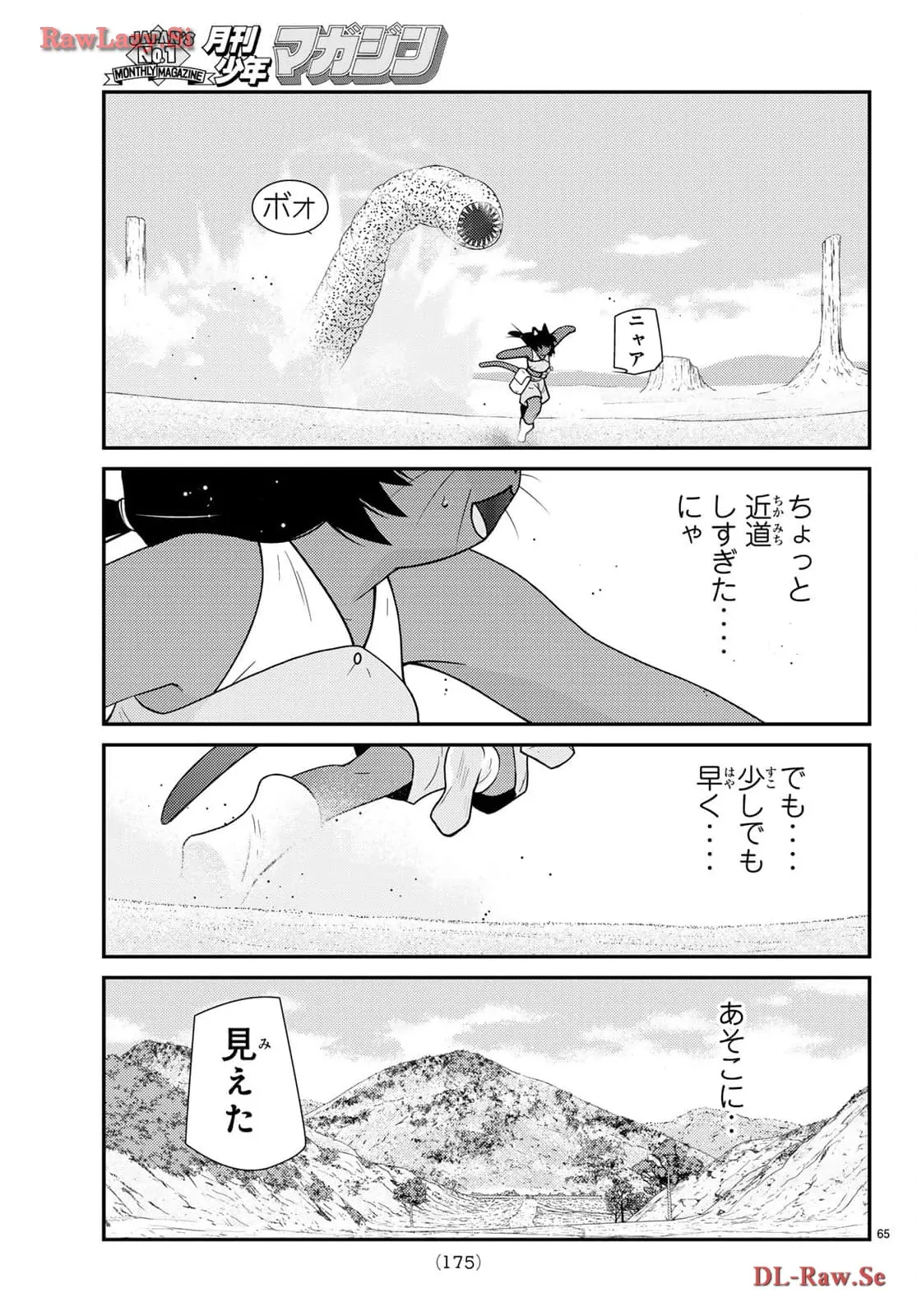 P65