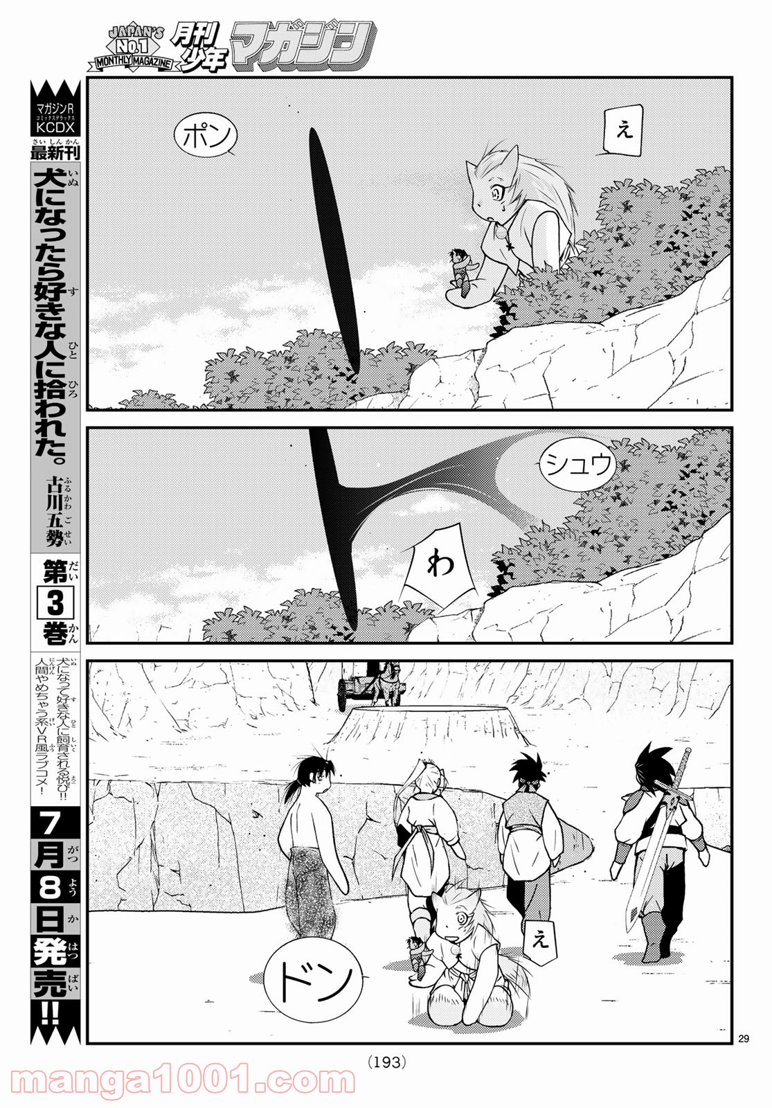P29