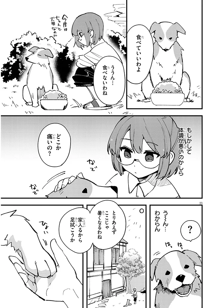 P23