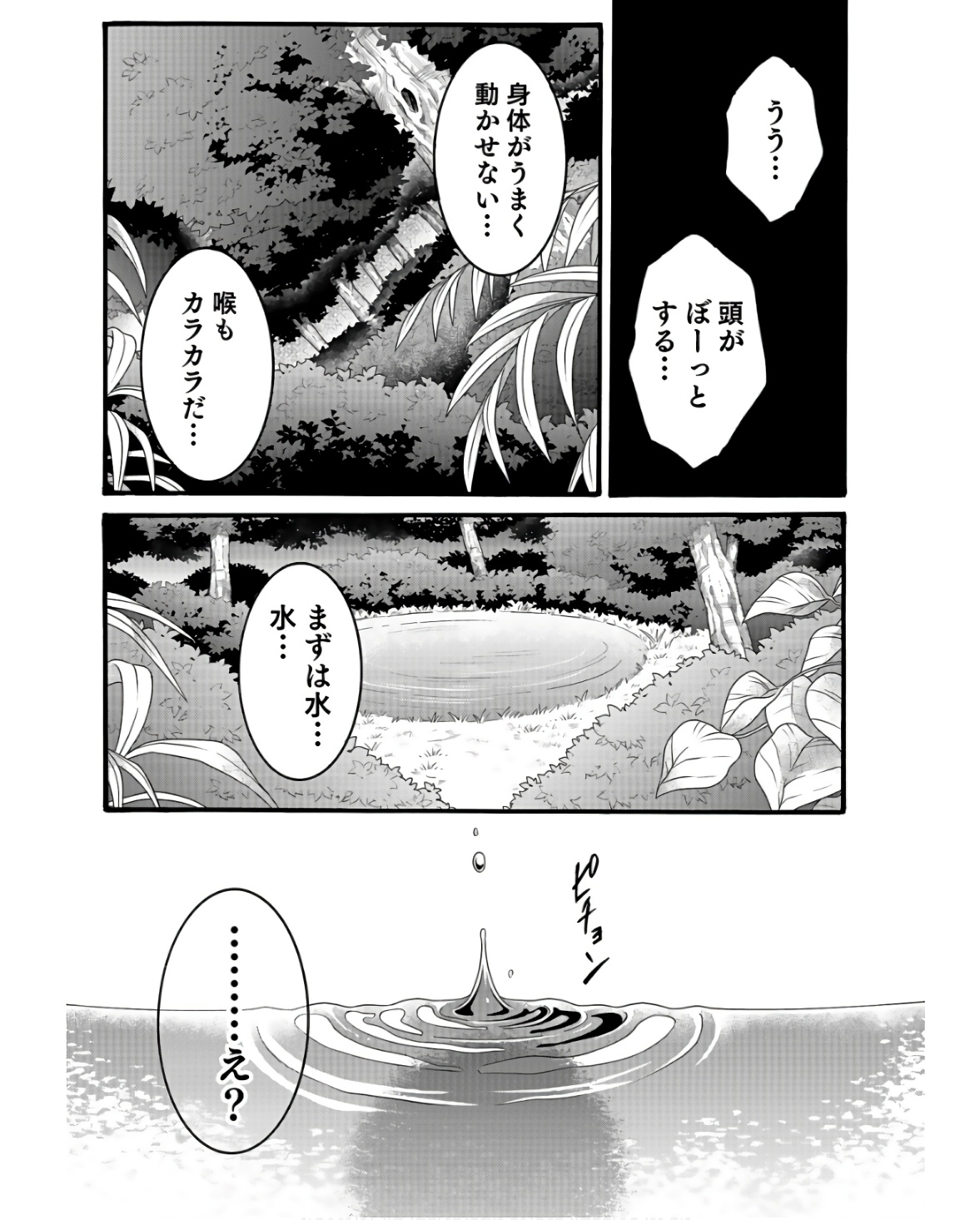 P51