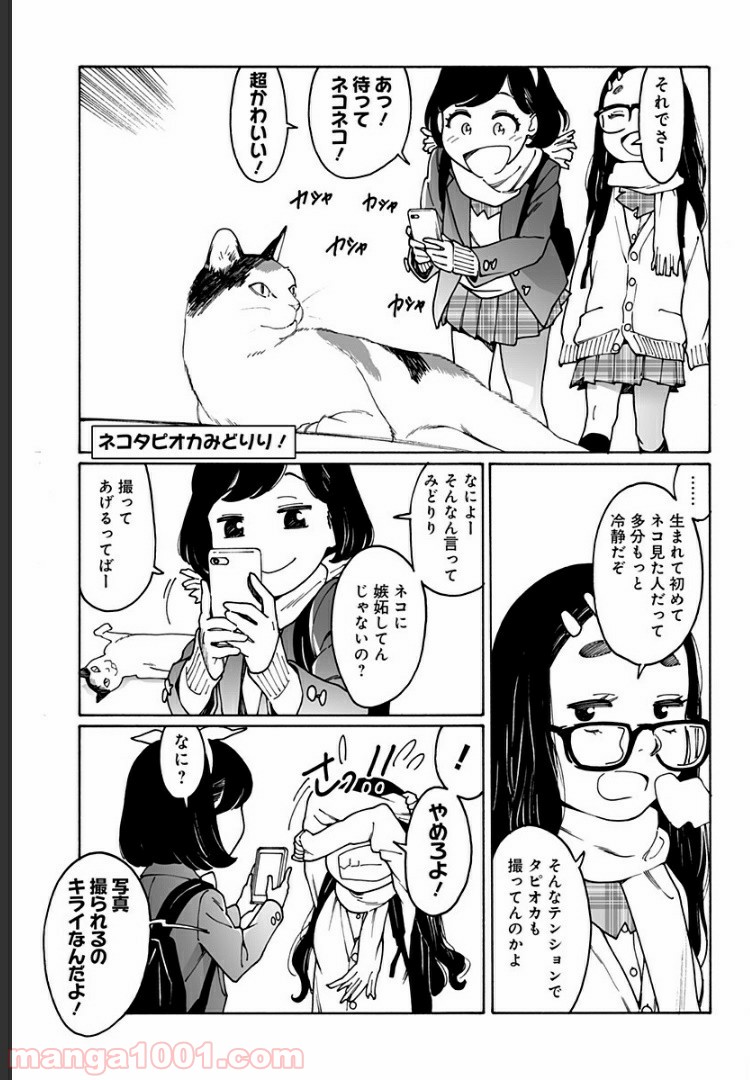 P23