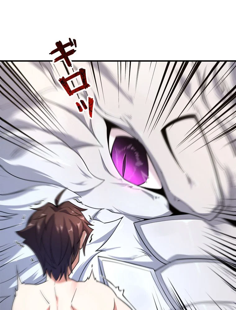 P58
