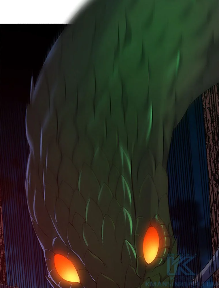 P53