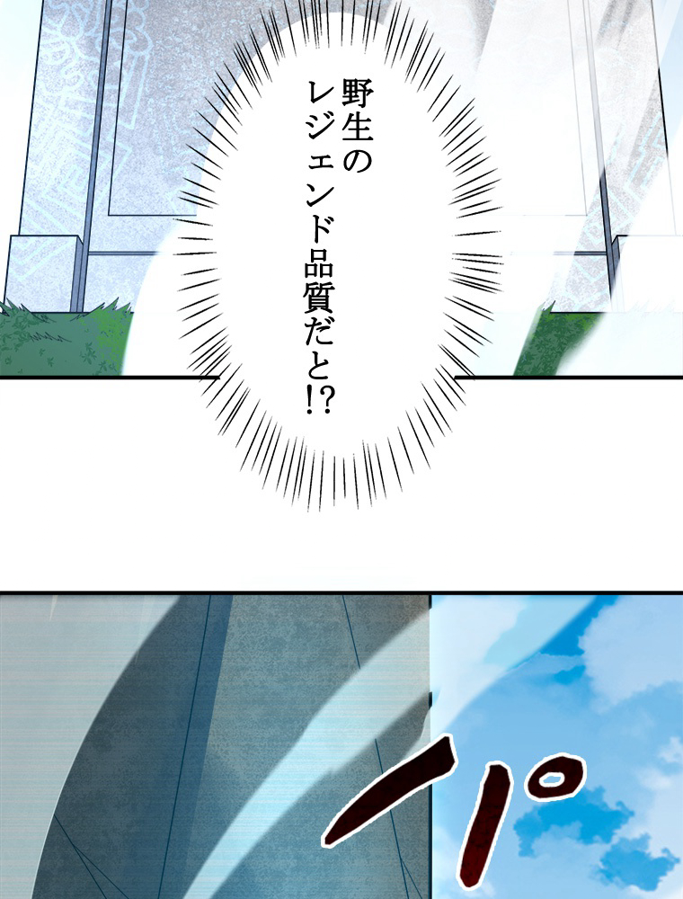 P53
