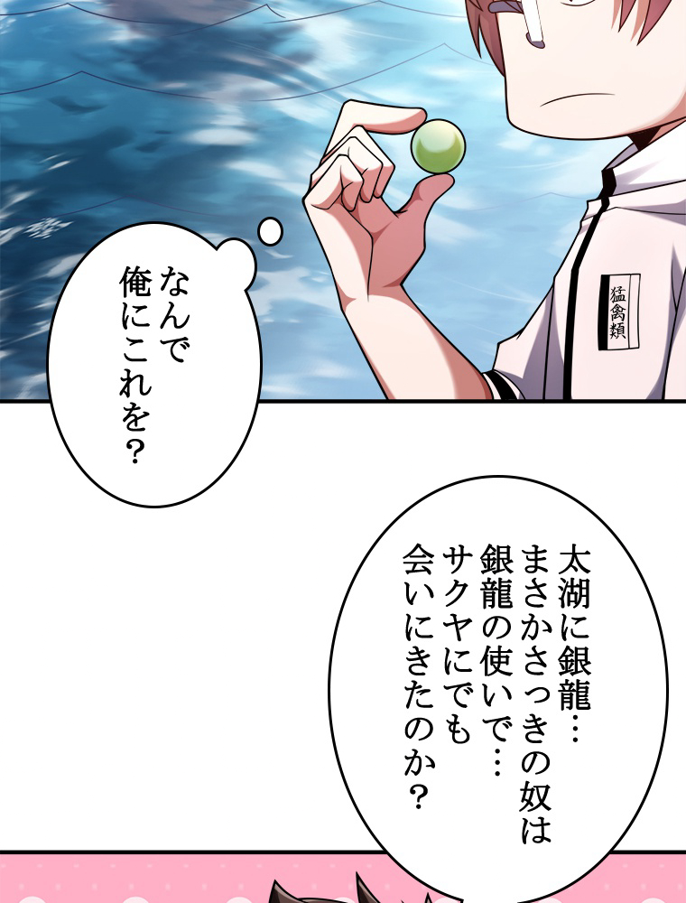 P66