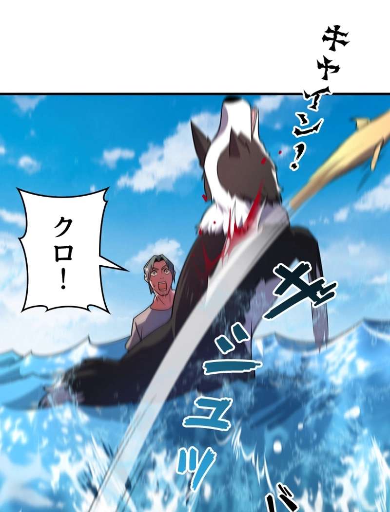 P48