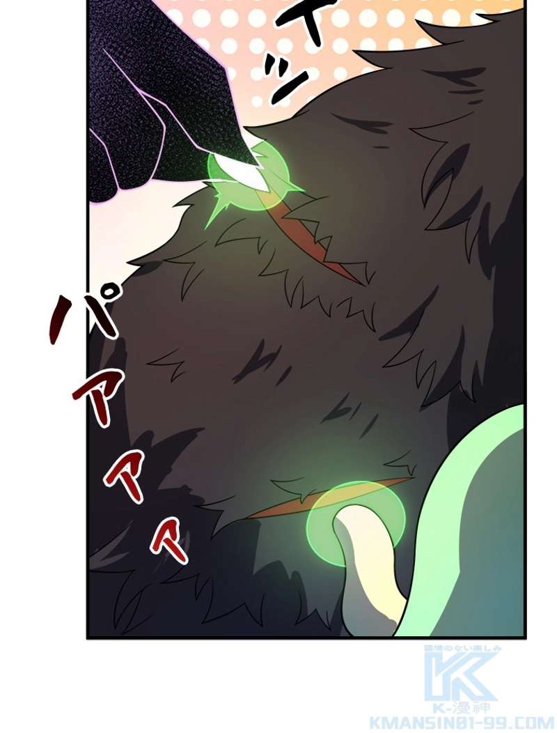 P61
