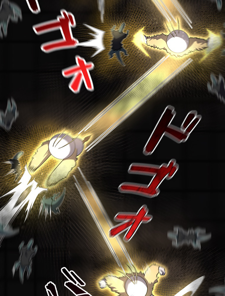 P51