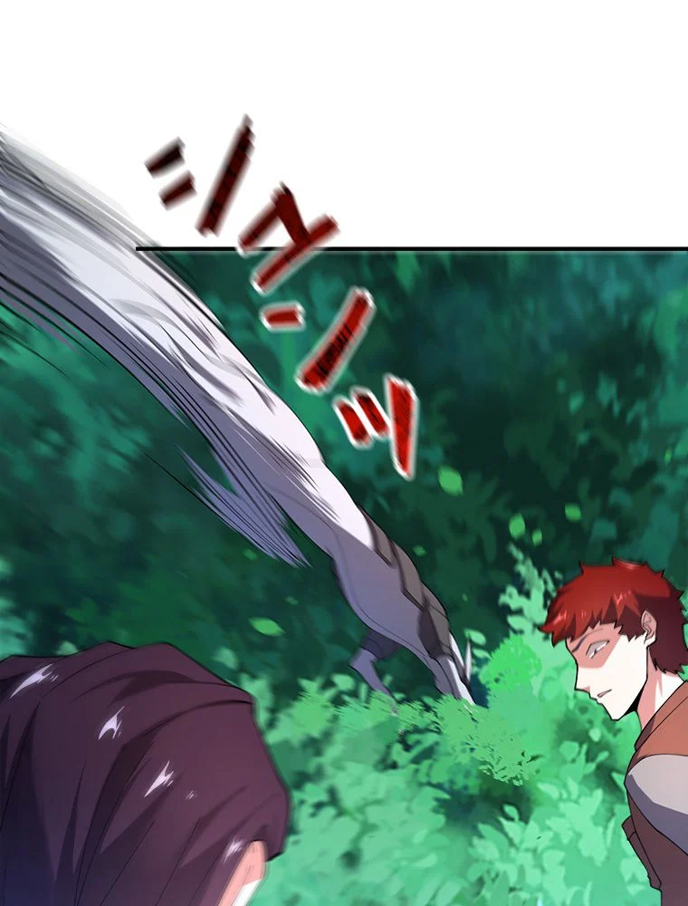 P58