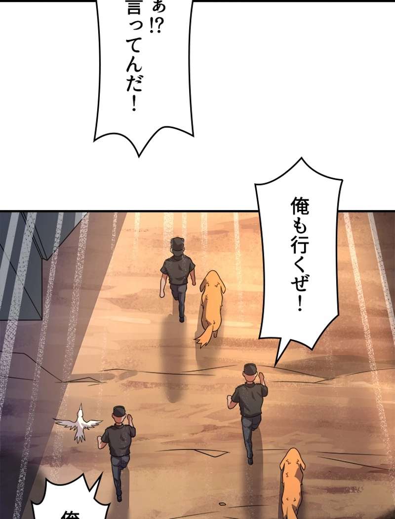 P67