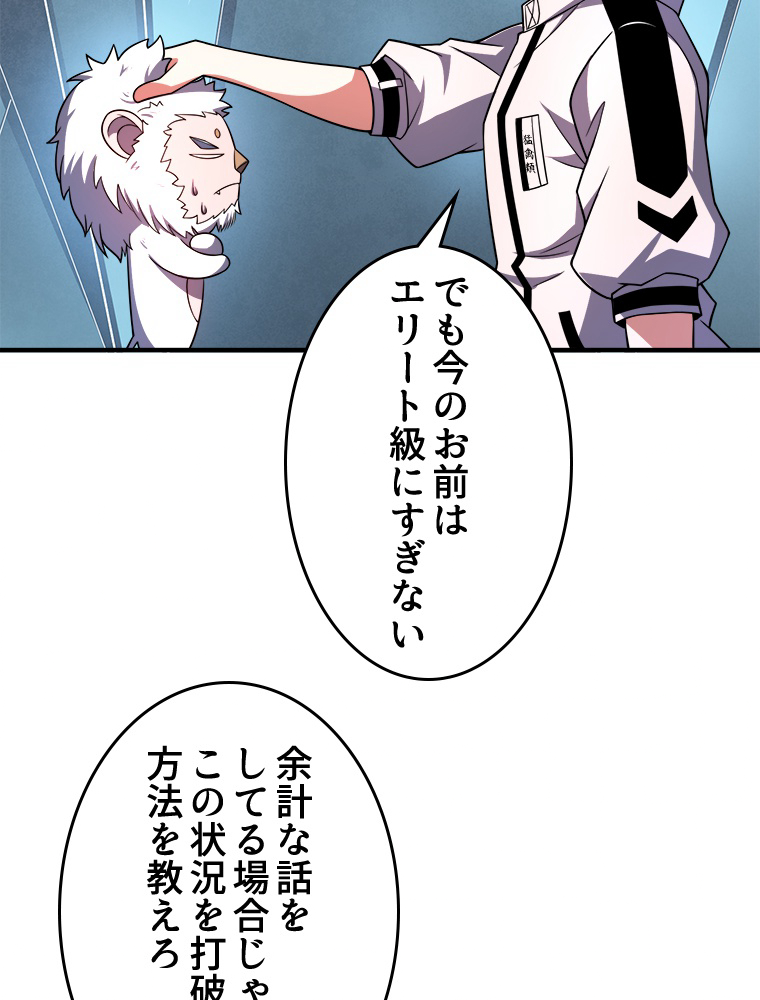 P47