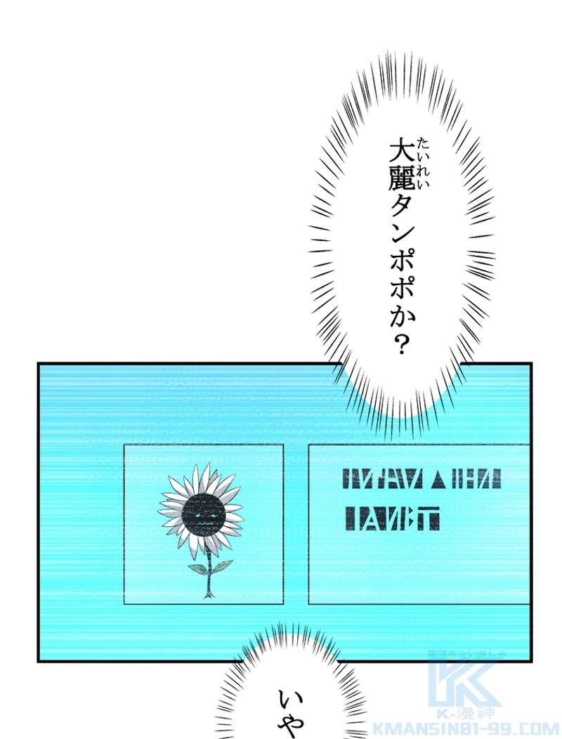 P58