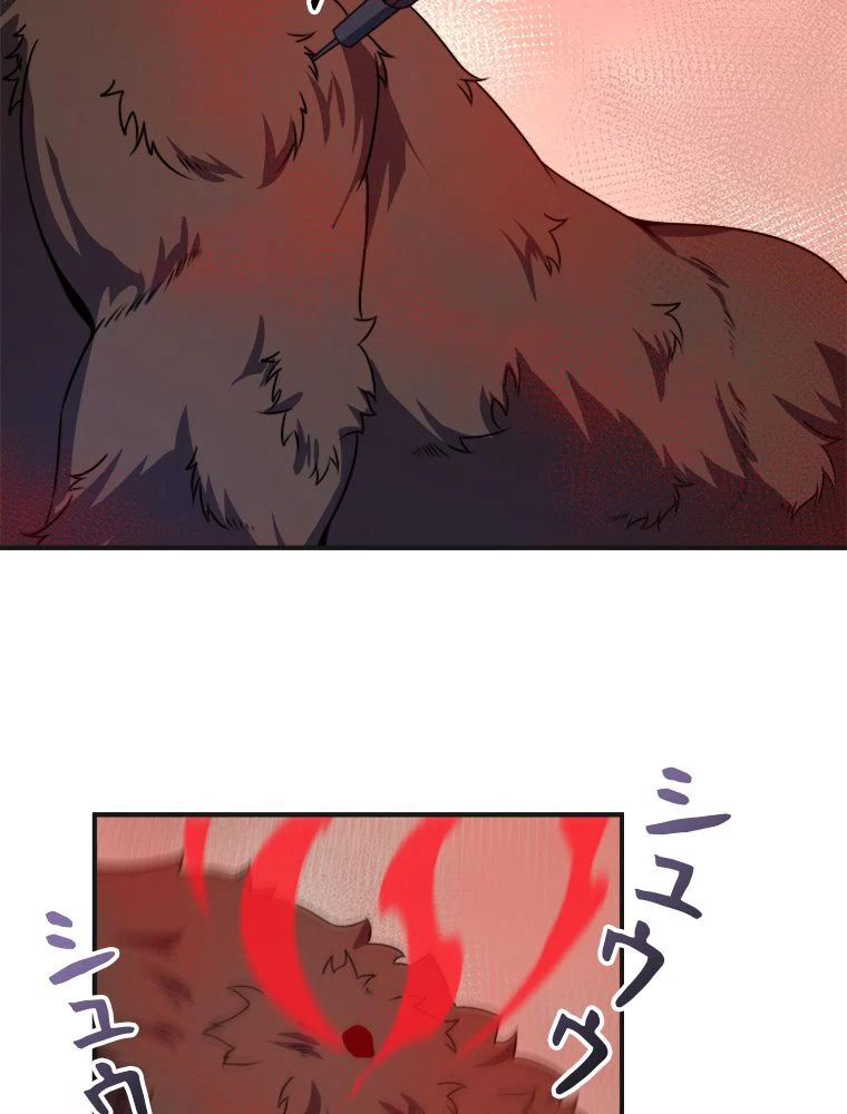 P55