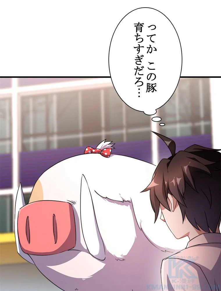 P53
