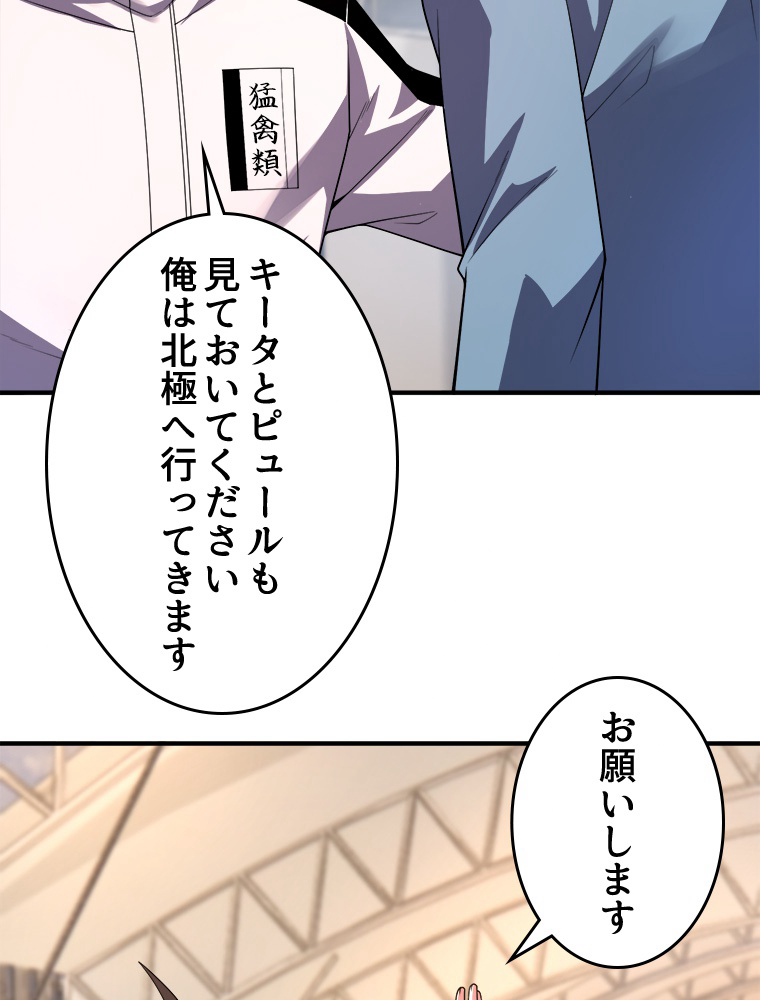 P41