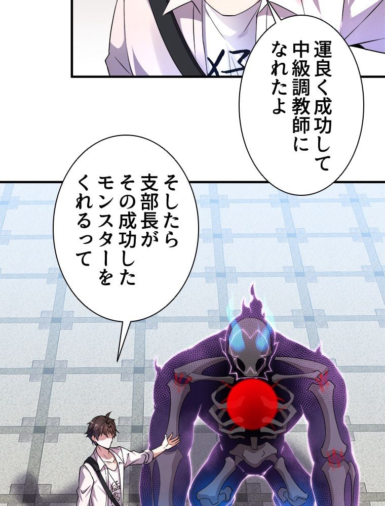 P66