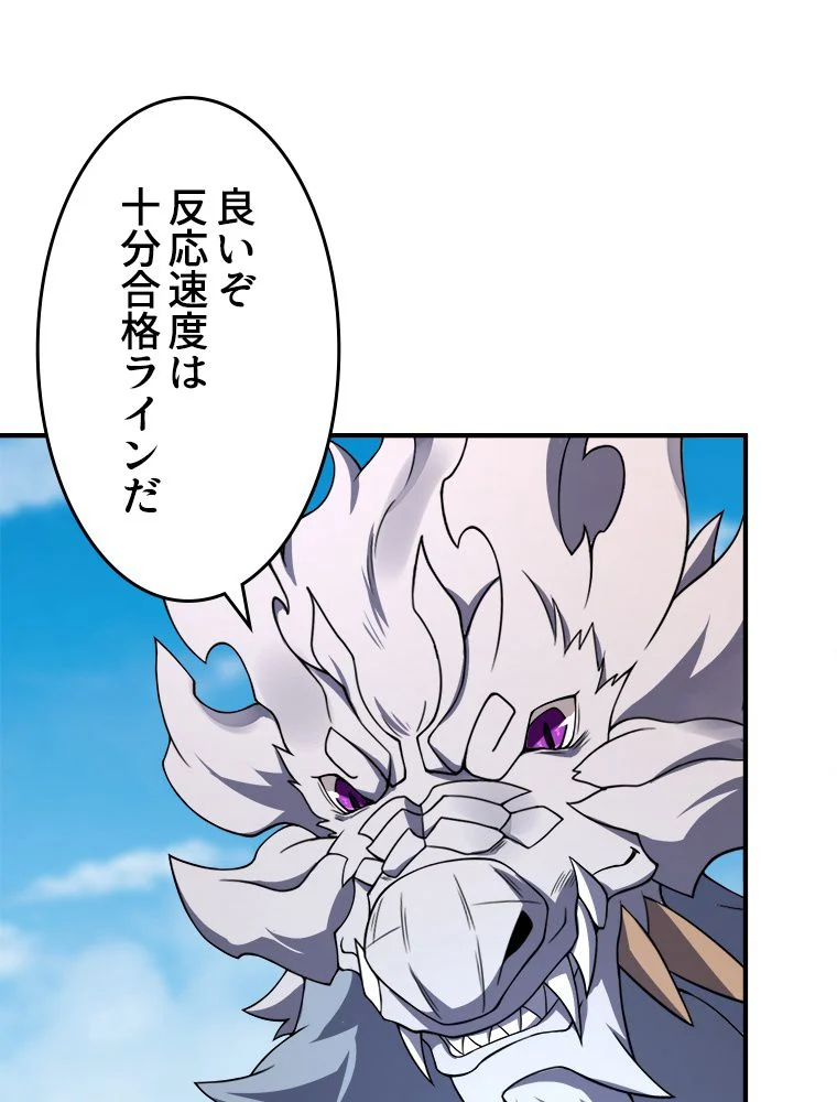 P66
