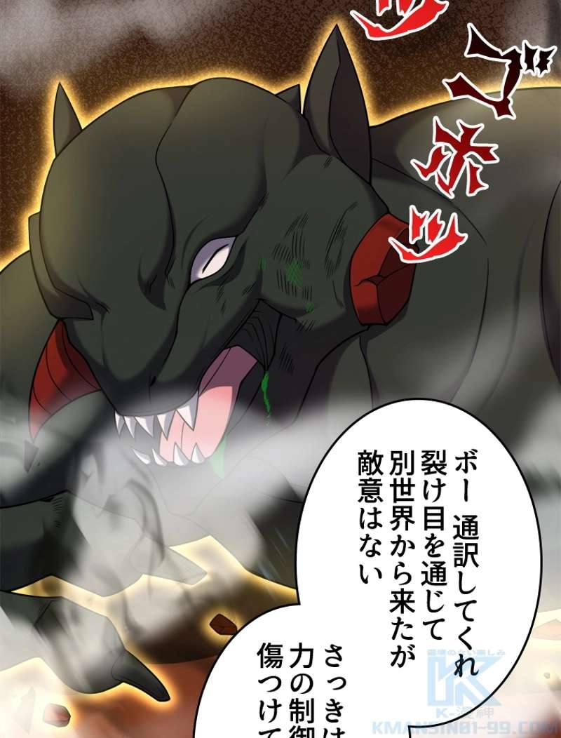 P43